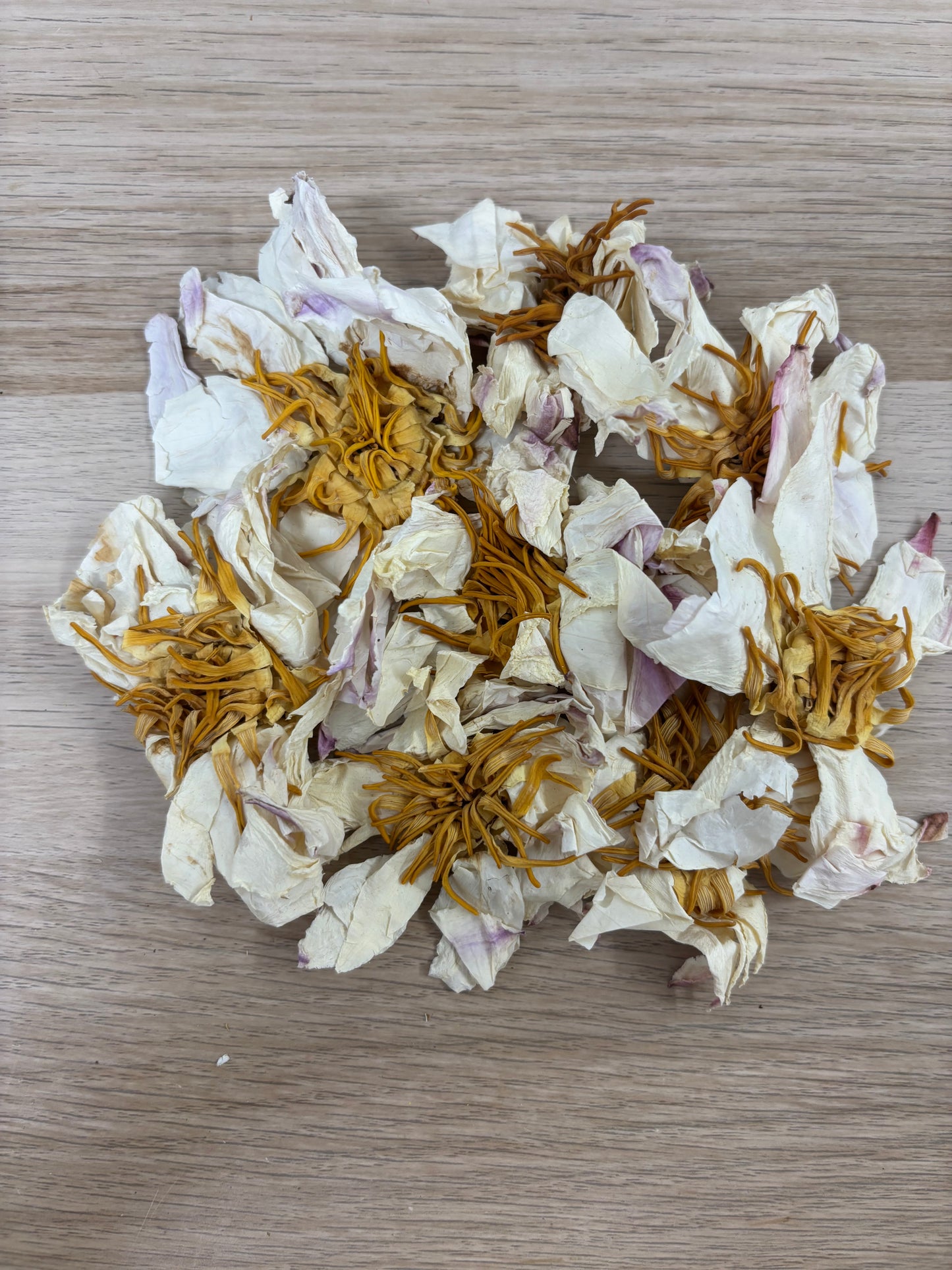 Bílý Lotus