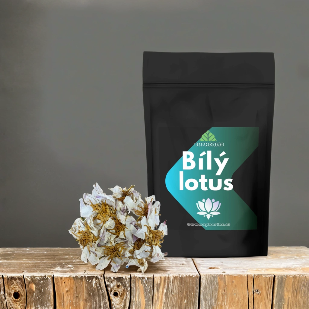 Bílý Lotus