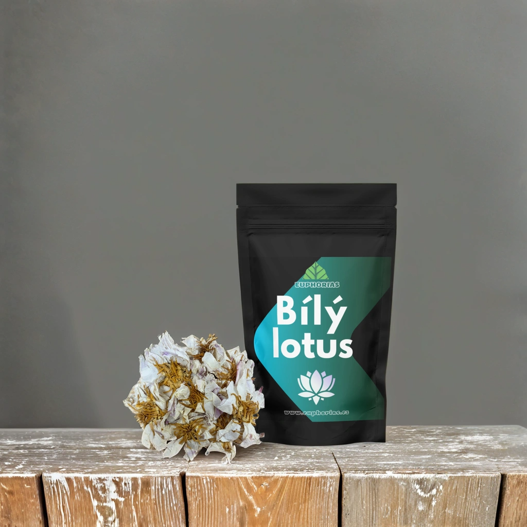 Bílý Lotus