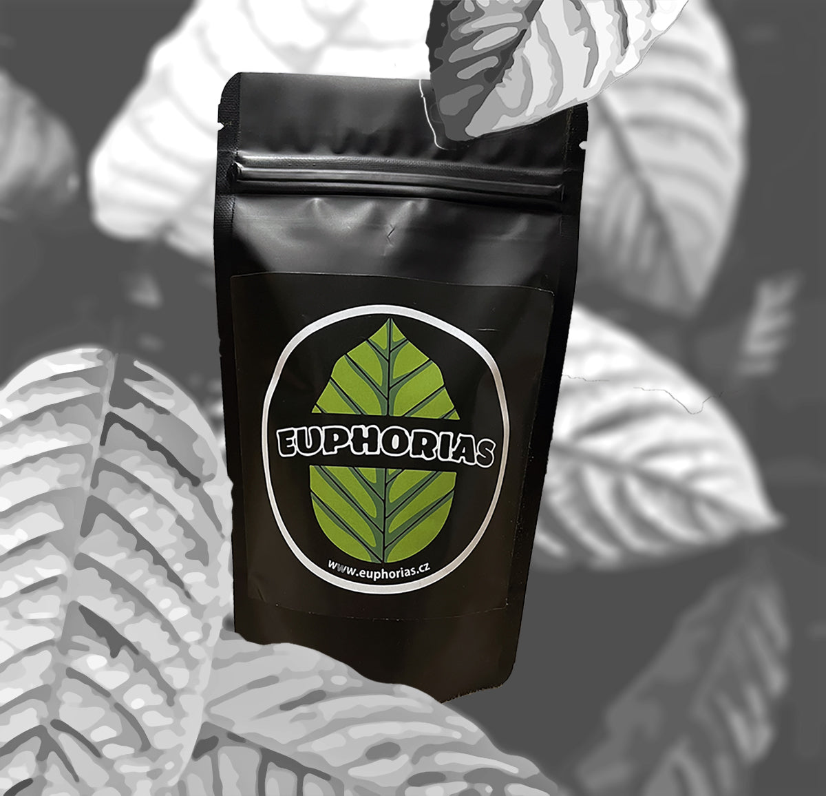 Bílý kratom