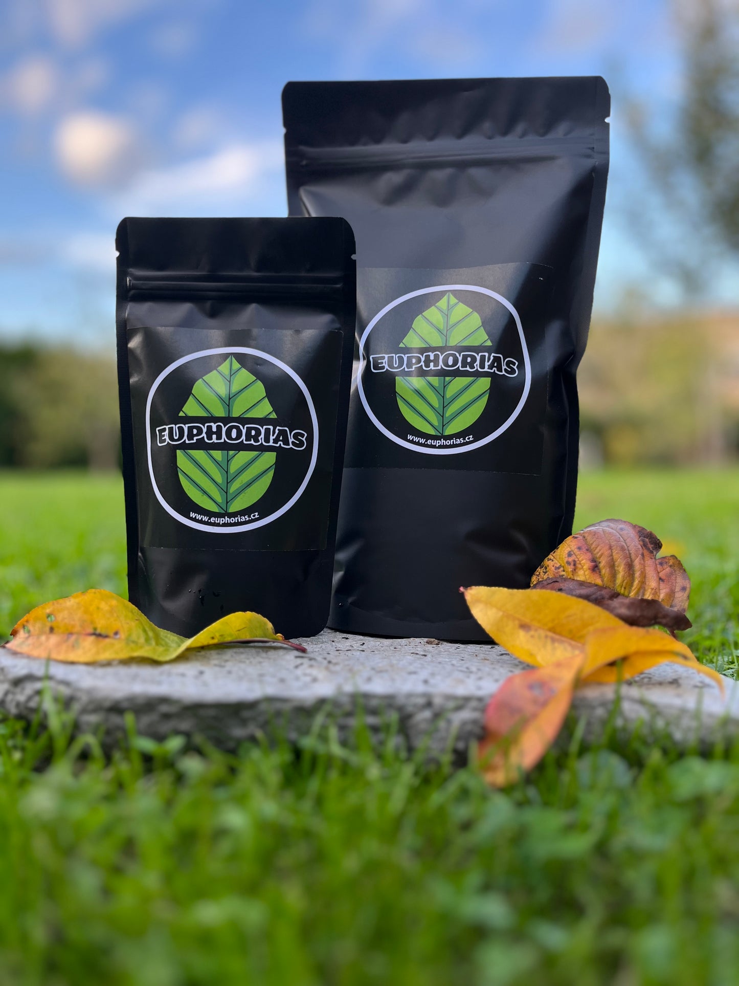 Bílý kratom