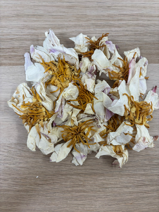 Bílý Lotus
